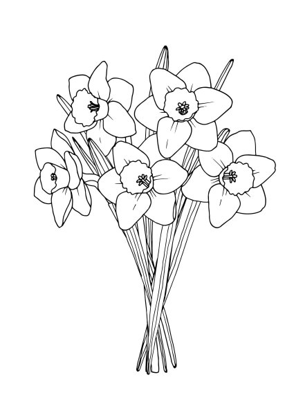 Букет нарциссов раскраска