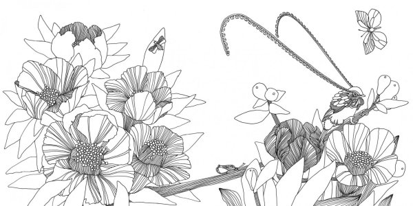 Раскраска антистресс "цветы"