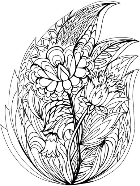 Раскраска цветы сложные