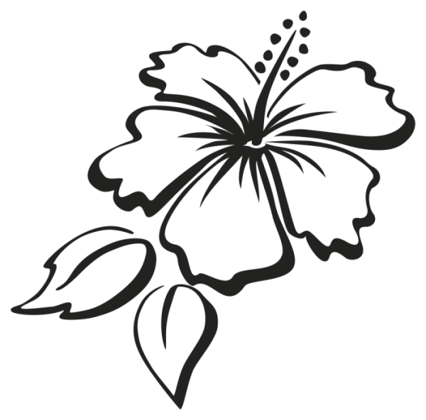 Изображение цветочки контуром