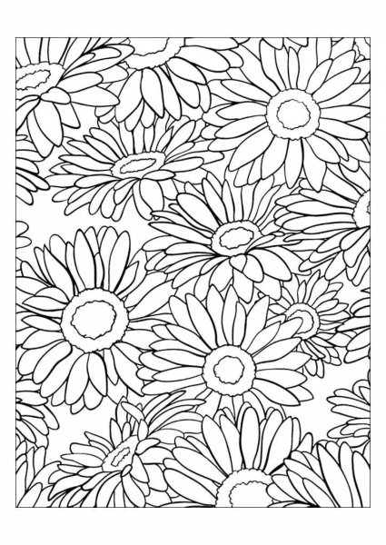 Раскраски для взрослых несложные