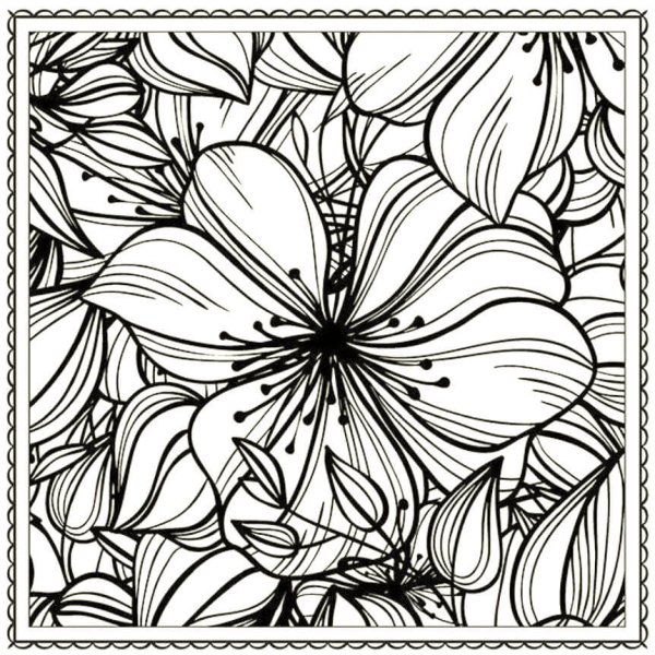 Раскраски Антресс цветы