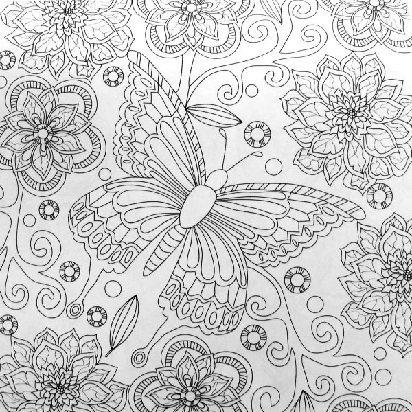 Цветы и бабочки антистресс