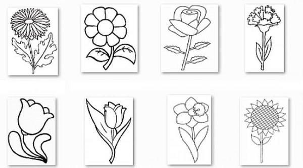 Растения раскраска для детей много