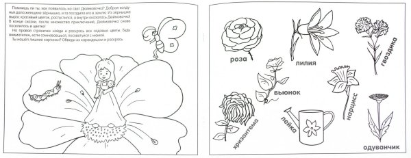 Растения задания для дошкольников