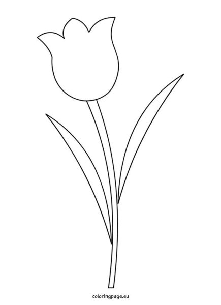 Трафарет цветка тюльпана