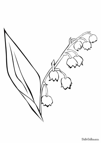 Ландыш Майский черно белый