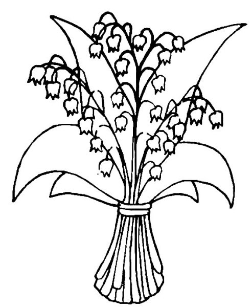 Ландыш рисунок