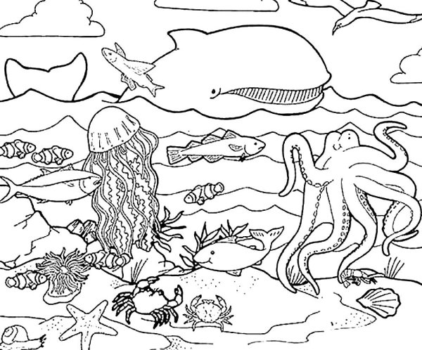 Раскраска "подводный мир"