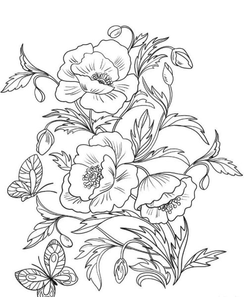 Рисунки цветов