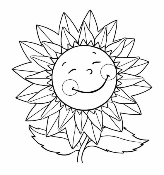 Подсолнух. Раскраска