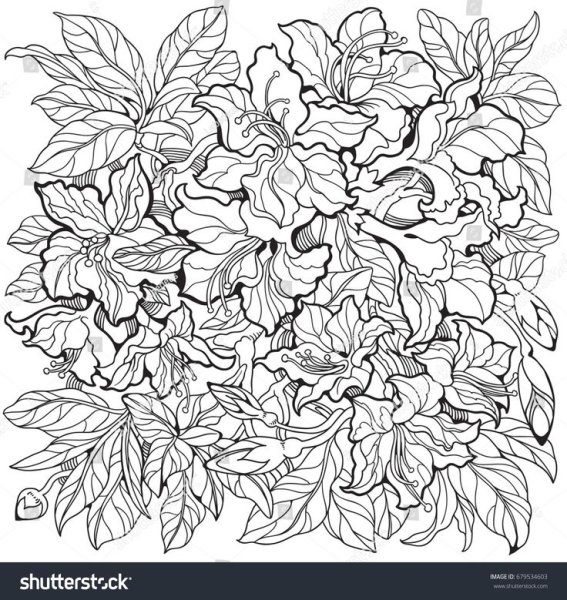 Азалия раскраска