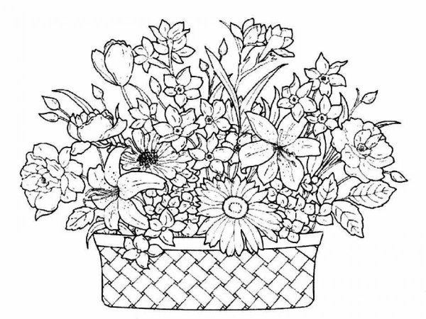 Раскраска цветы в корзине