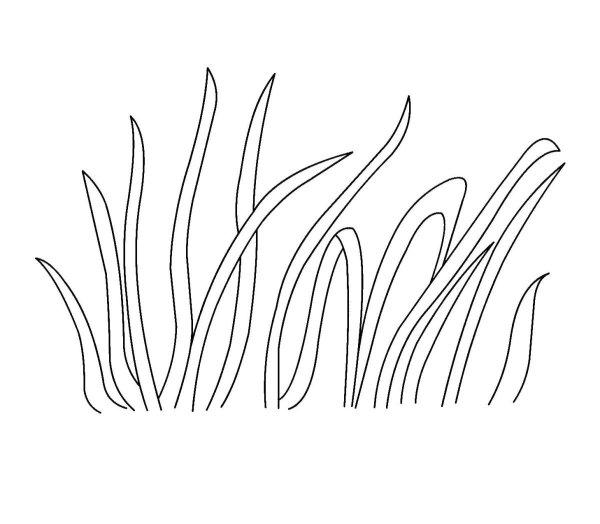 Трава раскраска для детей