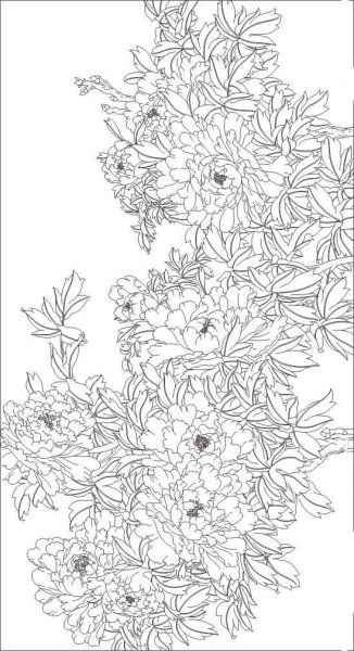 Раскраска антистресс пионы