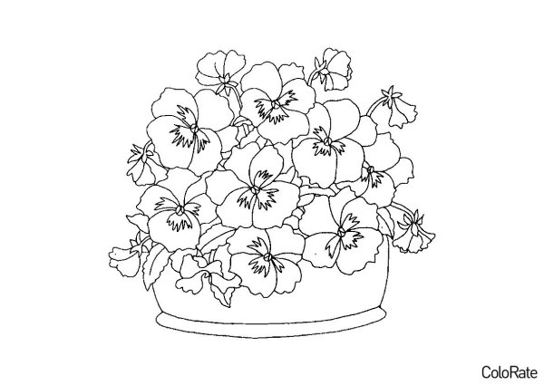 Раскраска цветы на клумбе
