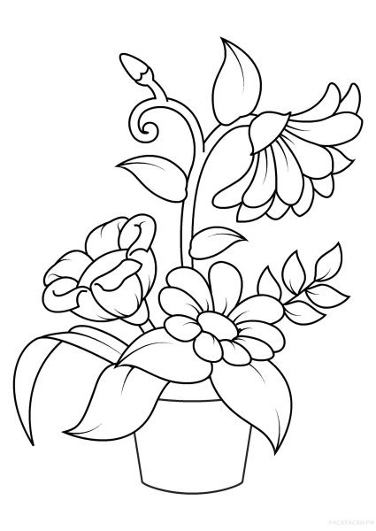 Раскраска цветочек
