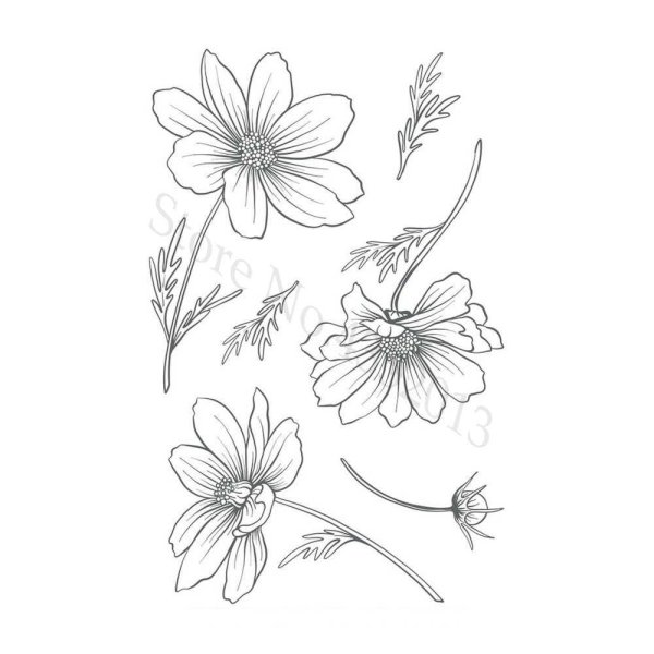 Космея раскраска для детей