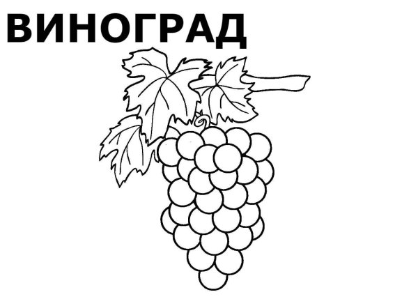 Раскраска "ягоды"