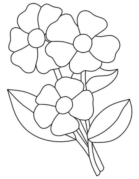 Шаблон цветов для аппликации