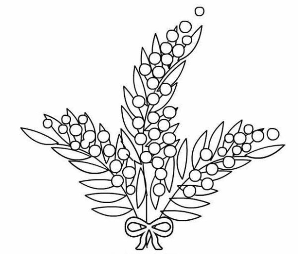 Мимоза раскраска для детей