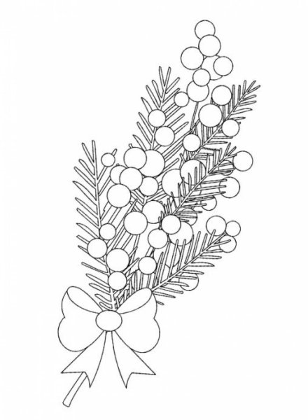 Ветка мимозы раскраска