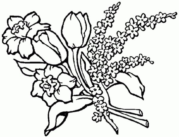 Букет весенних цветов для раскрашивания
