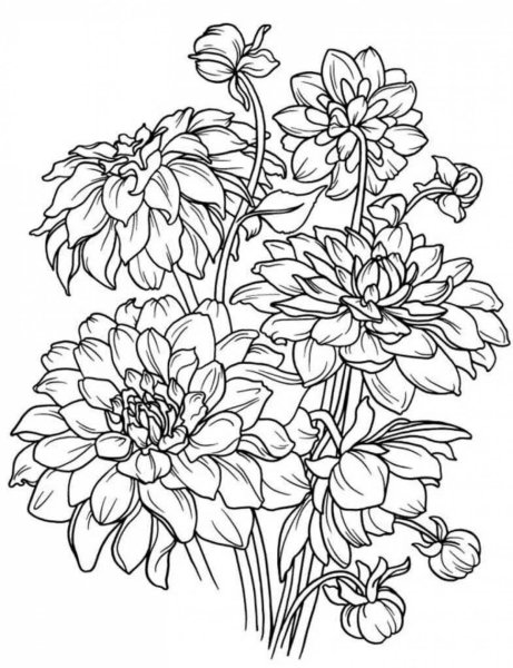 Цветы. Раскраска