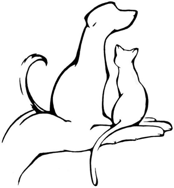 Раскраска на тему защита животных