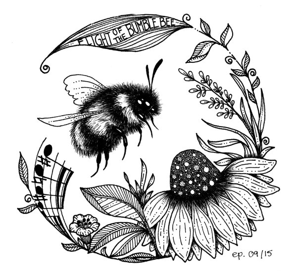 Шмель черно белый