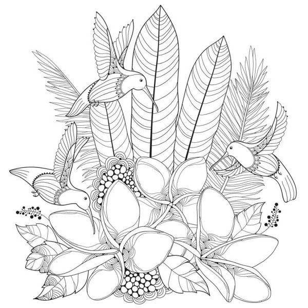 Тропические цветы раскраска