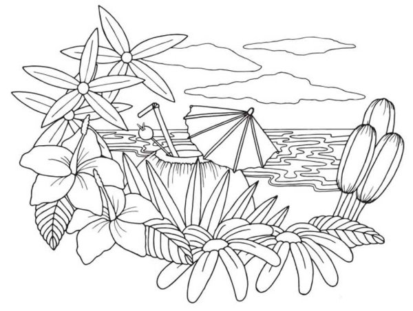 Раскраска тропики