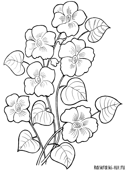 Рисунки для раскрашивания цветы