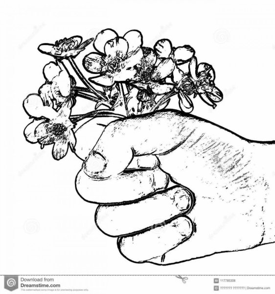 Нарисованная рука с букетом