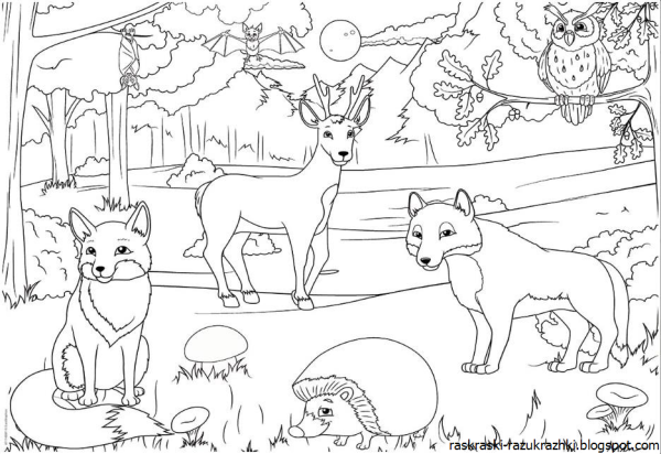 Раскраска Лесные звери в лесу