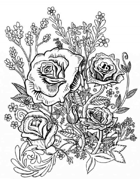 Раскраска антистресс "цветы"