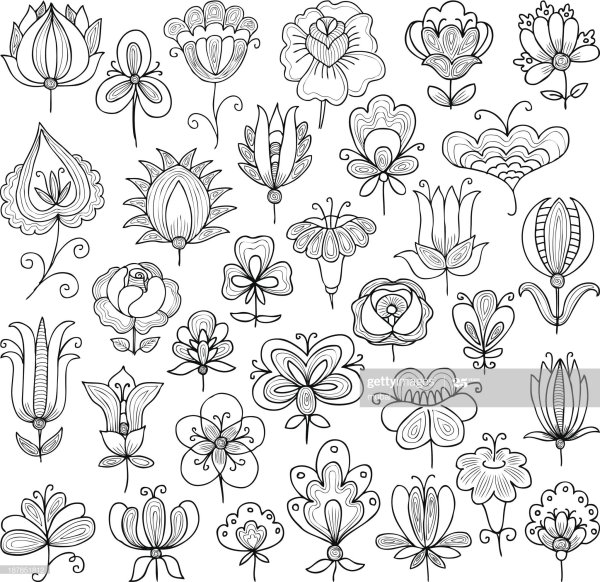 Ботанические элементы стилизованные