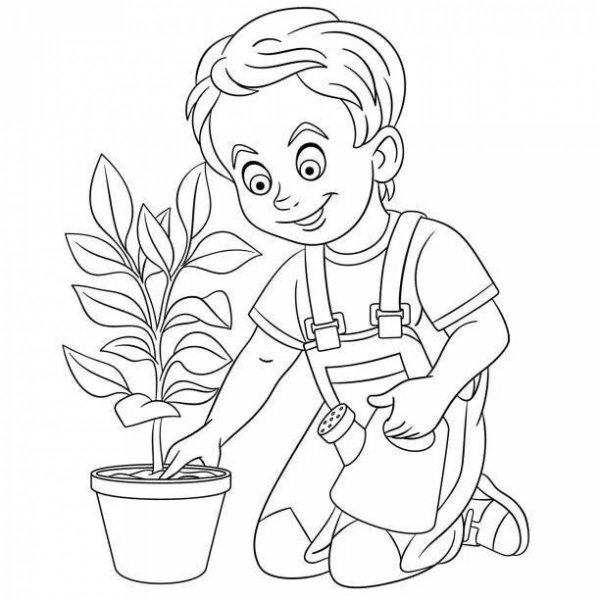 Раскраска посадка цветов