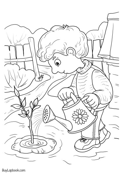 Огород раскраска для детей