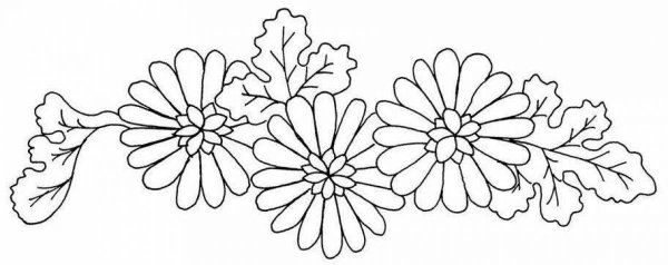 Раскраска цветы в полосе