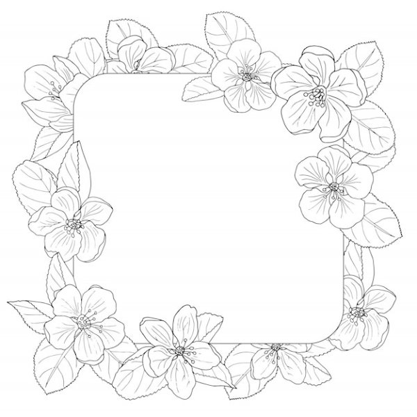 Рамочка раскраска цветы