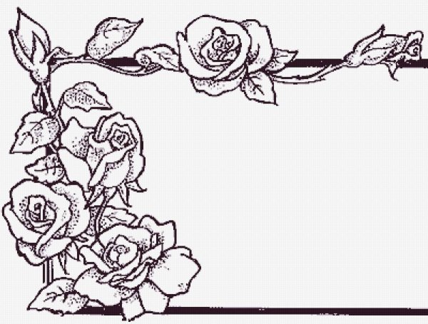 Цветочная рамка карандашом