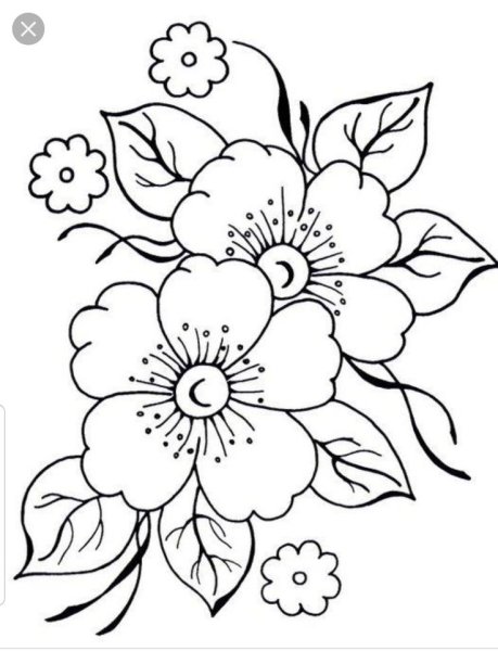 Рисунки цветов