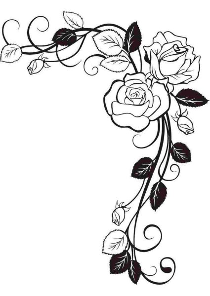 Красивые цветы черно белые