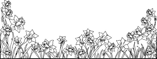 Поле цветов карандашом