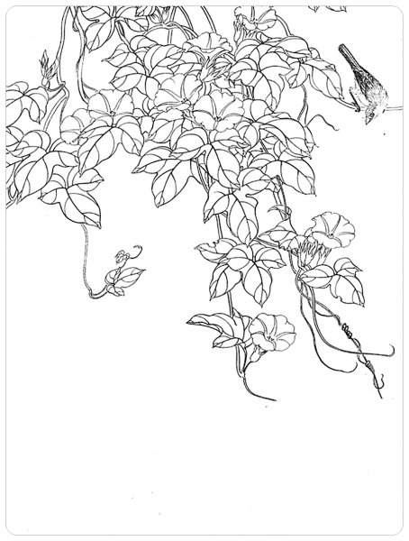 Цветы плетущиеся карандашом