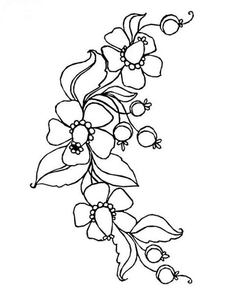 Цветочный орнамент раскраска