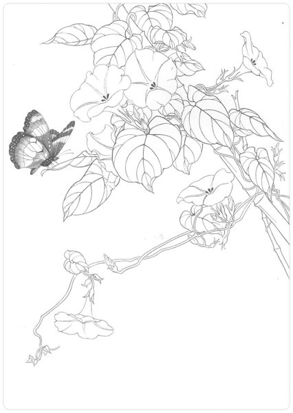 Раскраска вьющиеся цветы