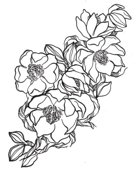 Магнолия трафарет