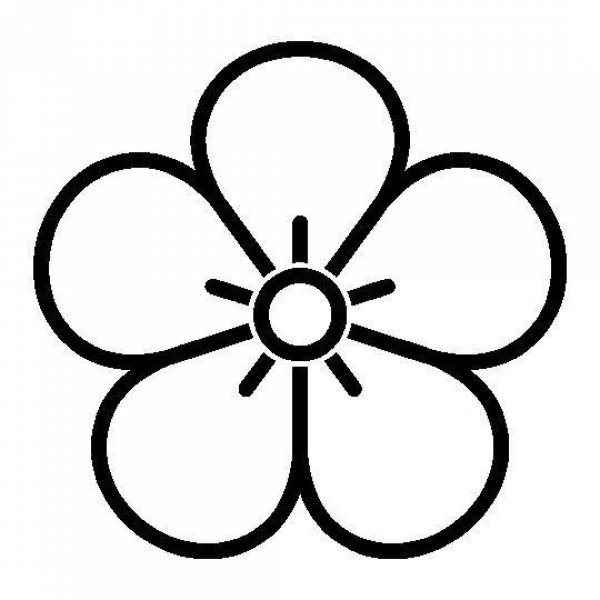 Цветок пять лепестков